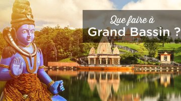 que faire a grand bassin