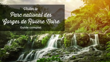 Que faire parc gorges riviere noire