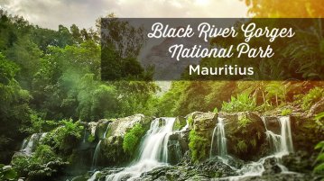 how to visit black river gorges national park