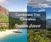 reunion island from mauritius