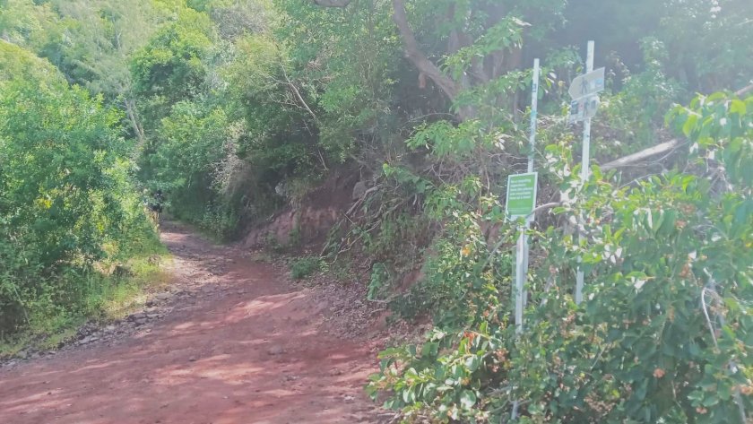 randonnee du morne brabant ile maurice