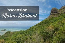 ascension le morne brabant