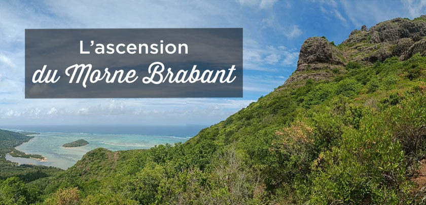 La randonnée du Morne Brabant