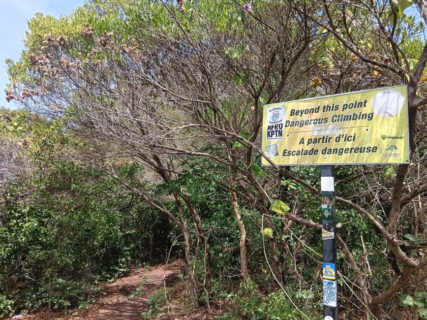 ascension le morne maurice escalade