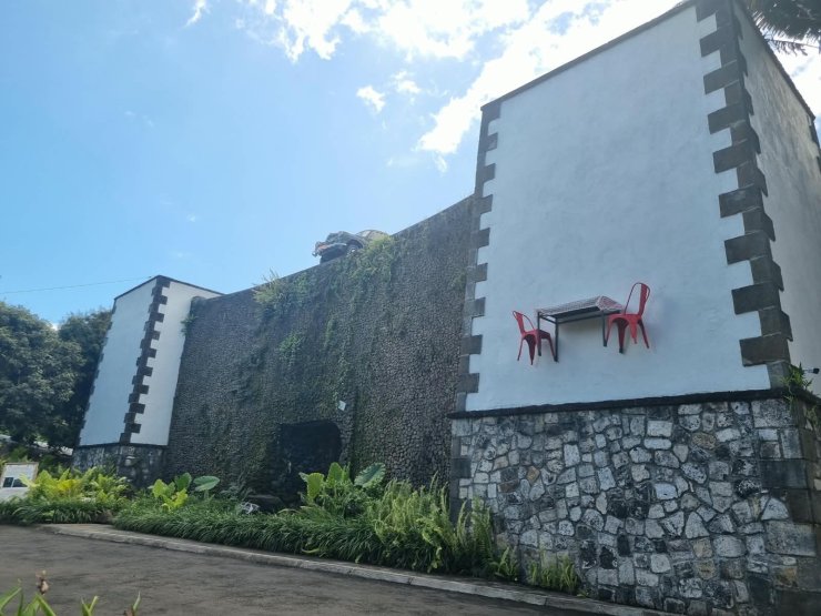 curious mauritius devant
