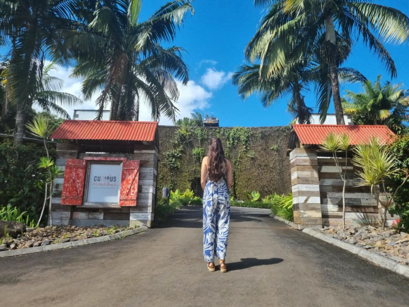 curious mauritius entree