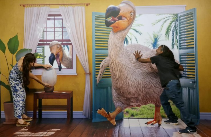 curious mauritius photo dodo