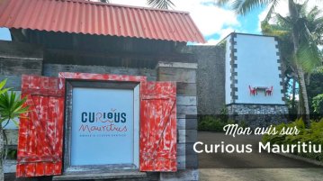 curious mauritius ile maurice